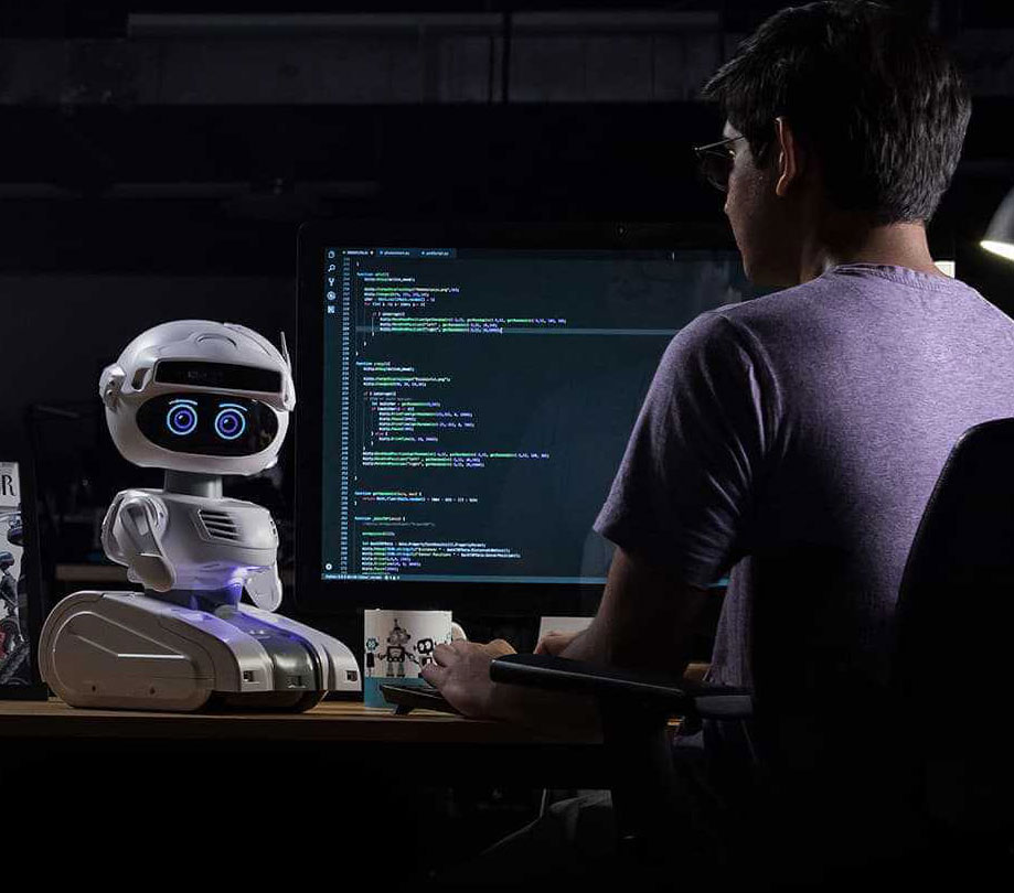 AI Software Development & Business Automation